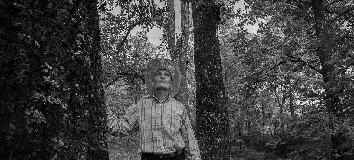 Don Blas Fonseca, participant in a forest restoration project in the Sierra Gorda de Querétaro.