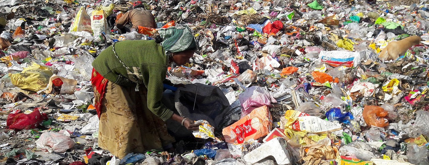 Rotting food waste emits 5 times more greenhouse gases than planes