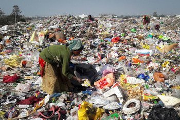भारत में एक कूड़ा घर में कचरे में कुछ काम की चीज़ें बीनती एक महिला