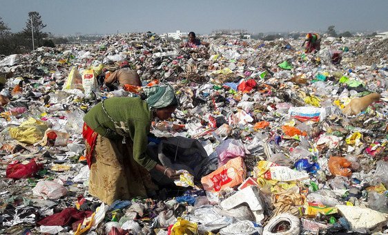 Rotting food waste emits 5 times more greenhouse gases than planes