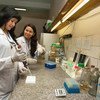 A research assistant (left) receives training from a biologist at the National Cancer Institute of Columbia.