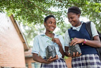 Des adolescentes tiennent des pousses de plantes, à l'école secondaire de filles Matero à Lusaka, en Zambie.