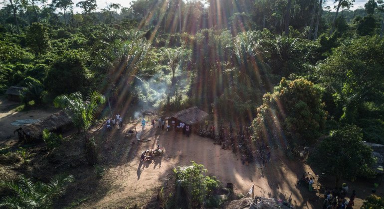قرية صغيرة يعيش فيها أفراد من أحد المجتمعات الأصلية في جمهورية الكونغو الديمقراطية.