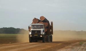 Un camión transportando troncos para hacer madera.