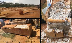 Illegal ivory and pangolian scales were concealed in candle wax in hollowed out timber logs mixed with legal timber shipment.