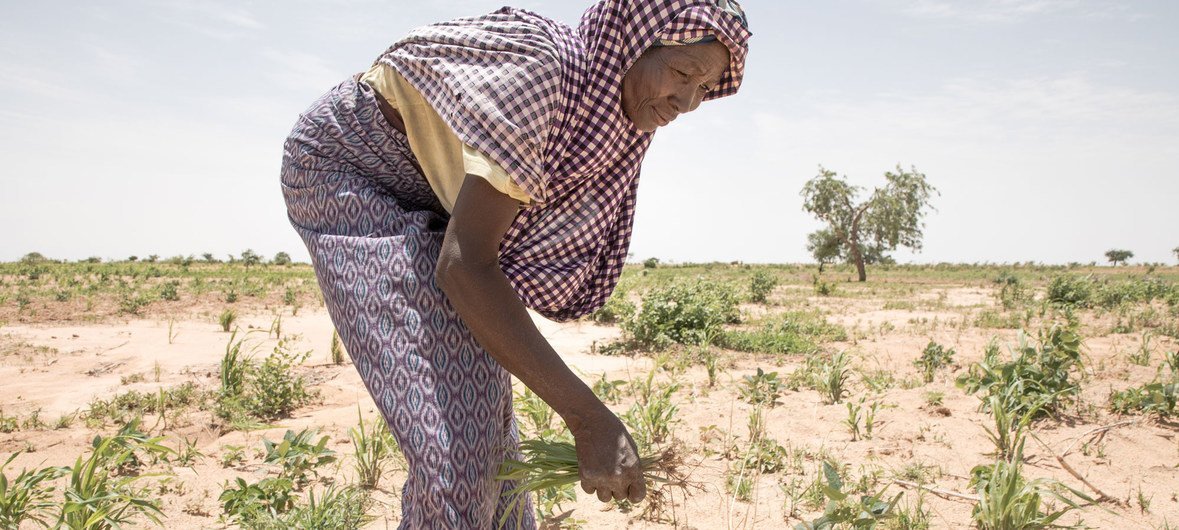 Niger is faced with a food-deficit and low-income levels.