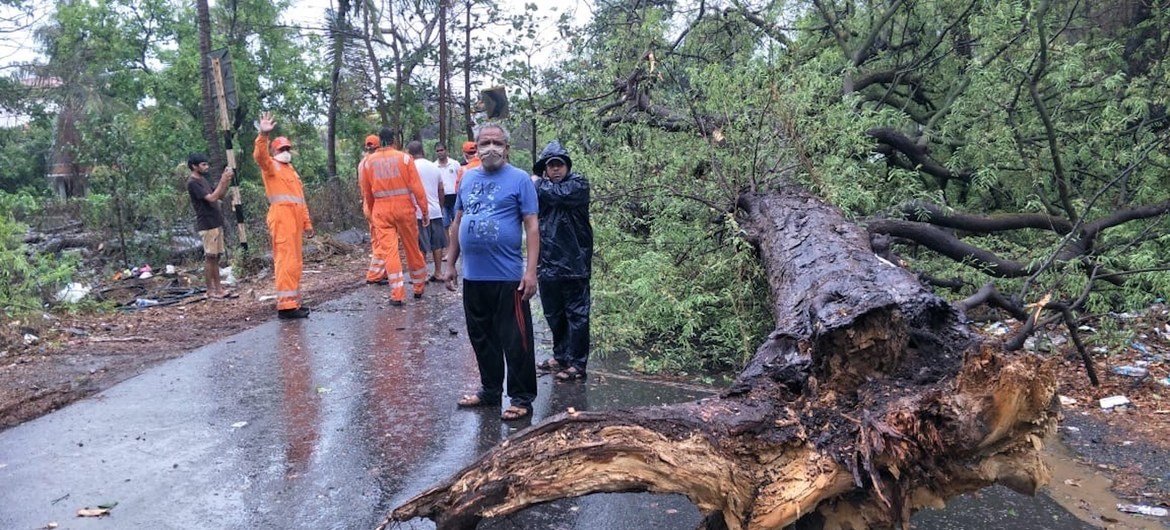 भारत के पश्चिमी तटीय क्षेत्र में आए निसर्ग तूफ़ान से अनेक पेड़ गिर गए और सम्पत्ति को नुक़सान पहुँचा