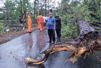 भारत के पश्चिमी तटीय क्षेत्र में आए निसर्ग तूफ़ान से कई पेड़ गिर गए और सम्पत्ति का नुक़सान हुआ. 