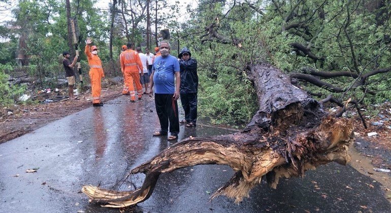 भारत के पश्चिमी तटीय क्षेत्र में आए निसर्ग तूफ़ान से कई पेड़ गिर गए और सम्पत्ति का नुक़सान हुआ. 