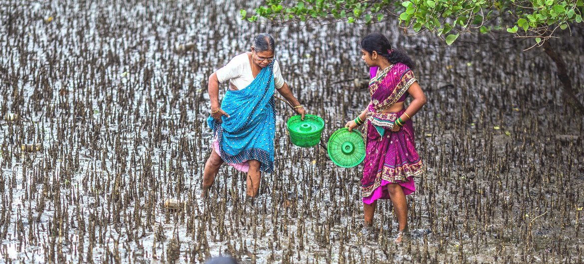К концу года около 265 млн человек могут столкнуться с острой нехваткой продовольствия – это вдвое больше, чем было до кризиса.На фото: ферма по выращиванию крабов в Индии. 