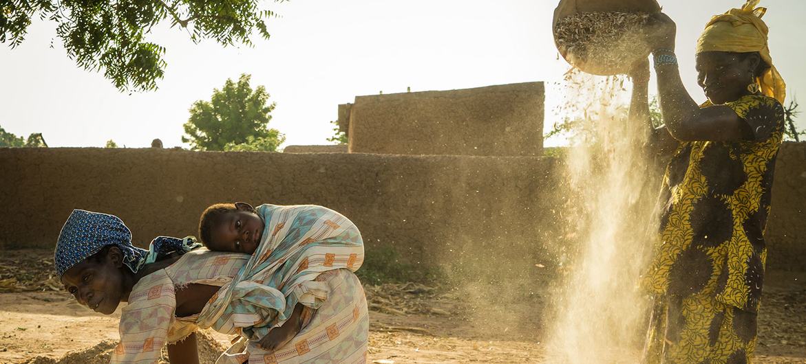 الأمن الغذائي يأدي إلى الأمن المناخي في مالي