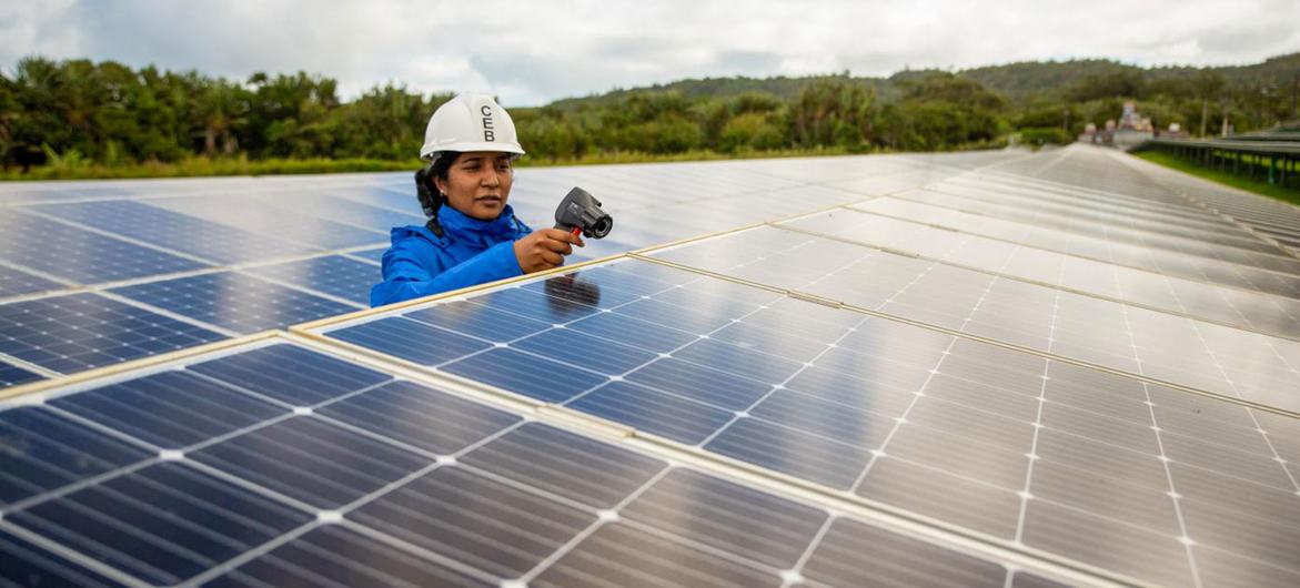 امرأة تعمل في حقل للطاقة الشمسية في موريشيوس.