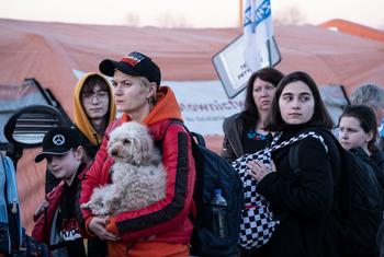 来自乌克兰的难民在穿过梅迪卡边境点后进入波兰。