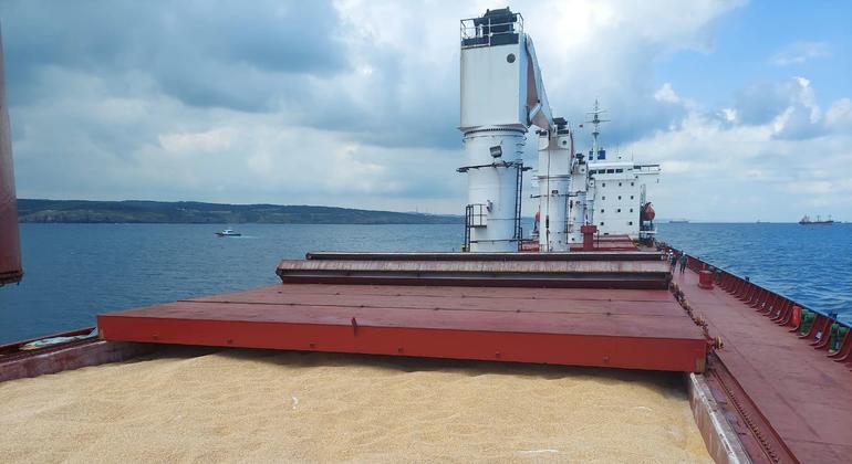Ukraine: Black Sea grain cargo success raises hopes extra will comply with