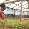 A través de la Asociación de Mujeres Trabajadoras por el Desarrollo del Yarí, en Caquetá, Colombia, Raquel Espinoza  y sus compañeras restauran el bosque húmedo construyendo corredores ecológicos que interconectan la Amazonía