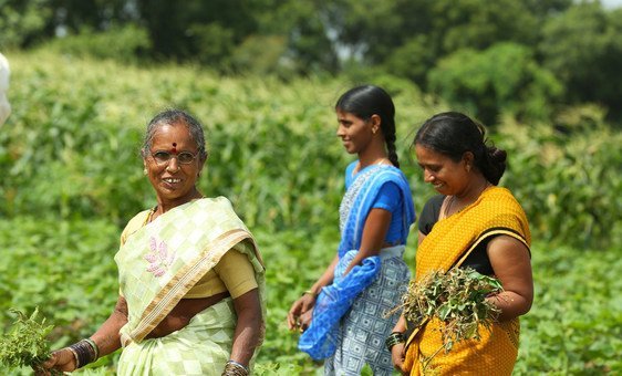 Женщины-фермеры в Индии перешли на органическое земледелие.