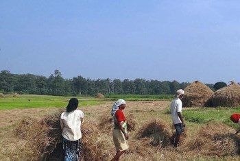 भारत में खेतों में काम करतीं कुछ महिला किसान.