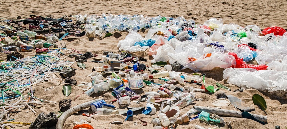 इंडोनेशिया के बाली में समुद्र किनारे पड़ा कचरा. संयुक्त राष्ट्र पर्यावरण कार्यक्रम ने वहाँ समुद्र को साफ़ करने का अभियान चलाया था.