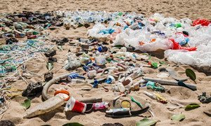 印尼巴厘岛海滩上的垃圾。