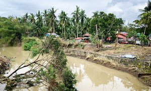 由于超级台风“天鹅”，菲律宾吕宋岛南部八打雁省的许多地区仍然被碎片和洪水淹没。