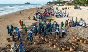 A seaside community in a tourist area in Viet Nam gets together to collect rubbish from the sea.