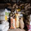Une agricultrice devant des sacs de semences stockés dans un entrepôt d'un centre agro-industriel en Sierra Leone.FAO/Sebastian Liste