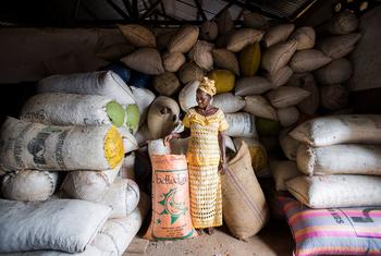 Una agricultora frente a los sacos de semillas almacenados en un almacén de un centro agroindustrial de Sierra Leona.