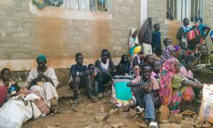 تنقل مفوضية شؤون اللاجئين والشركاء اللاجئين إلى مناطق أكثر أمنا في بني شنقول غونوز في إثيوبيا.
