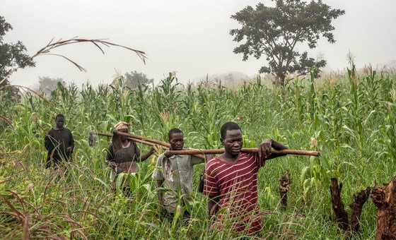 Paul (right) now works on the family farm.