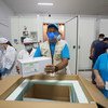 संयुक्त राष्ट्र के नेतृत्व वाले कोवैक्स कार्यक्रम के तहत, ऐस्ट्राज़ेनेका वैक्सीन की, 3 लाख 24 हज़ार ख़ुराकें कम्बोडिया पहुँचने के बाद का दृश्य.