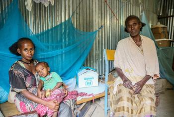 عائلة تركت منزلها في كفتا هوميرا قبل ستة أشهر للبحث عن مأوى في موقع للنازحين في أبي عدي، إثيوبيا.