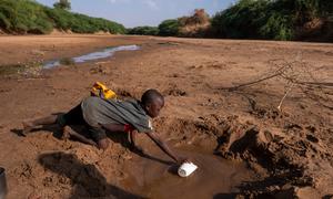 A young boy collects what little water he can from a dried up river due to severe drought in Somalia.