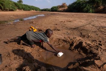 由于索马里的严重干旱，一个小男孩从干涸的河流中只能收集非常少的水。