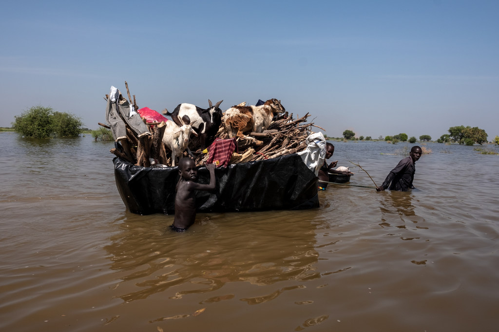 Muchas familias se vieron obligadas a trasladar todas sus pertenencias, incluso su ganado, en rústicas embarcaciones en medio de las inundaciones en Bientu, en Sudán del Sur.