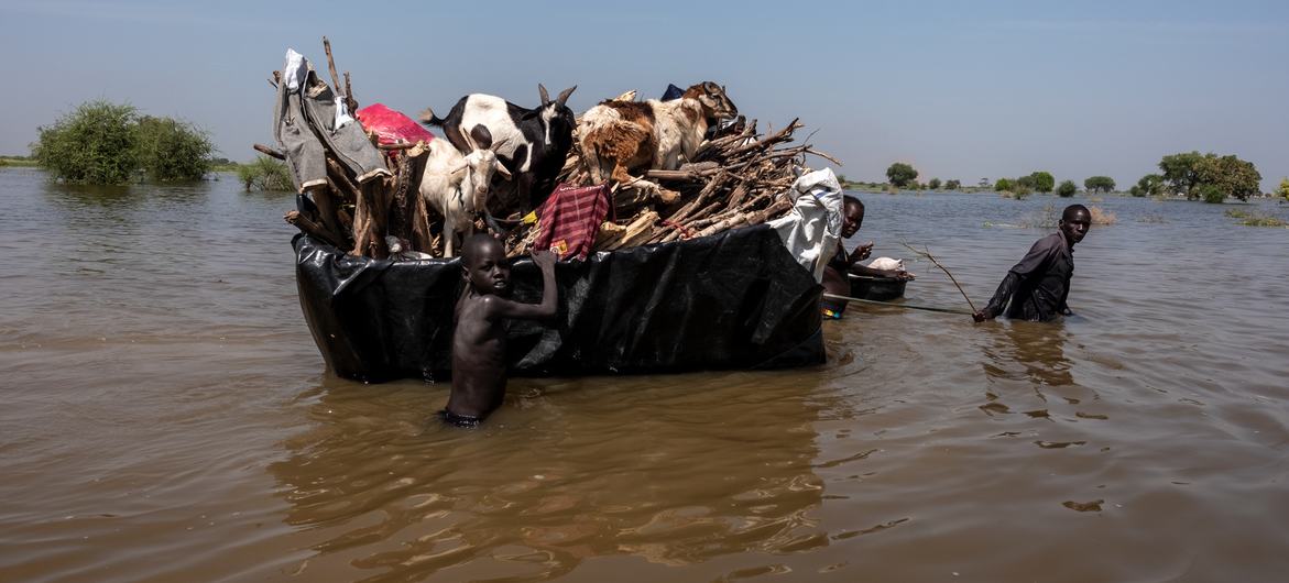 Families forced to move all their belongings, including livestock, South Sudan.