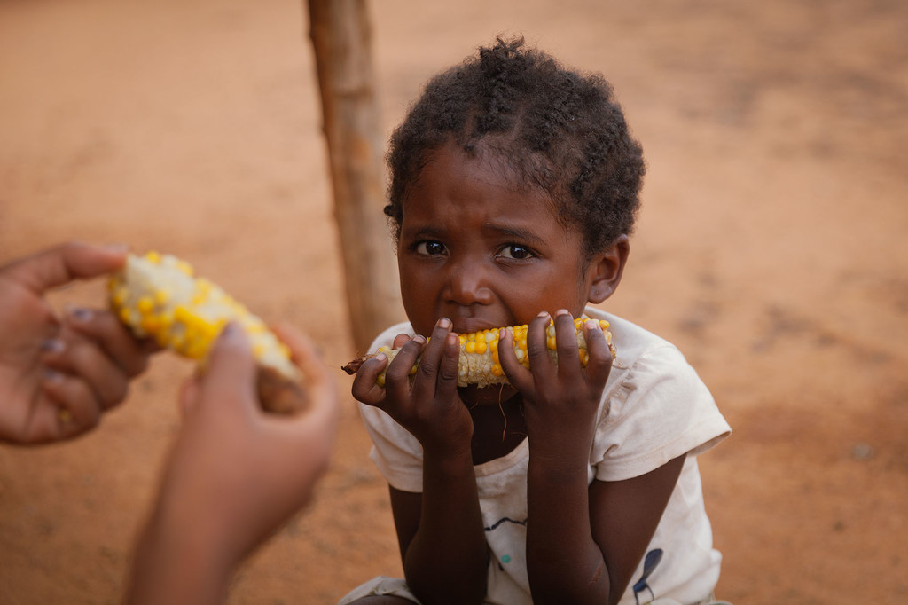 Una niña de cinco años come una mazorca de maíz en Madagascar. Su madre es granjera y alimenta a su familia con lo que cosecha.