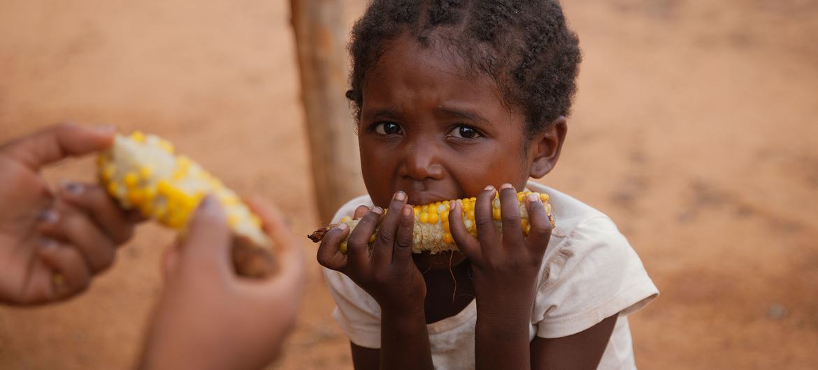Une fillette de cinq ans mange du maïs pour le déjeuner à Madagascar. Sa mère est agricultrice et nourrit sa famille avec ce qu'elle peut produire, malgré la sécheresse et les insectes.