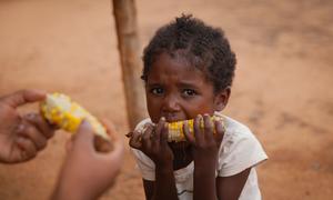 Maioria das 140 milhões de pessoas que sofrem de fome aguda em todo o mundo está concentrada em 10 países