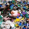 La basura plástica en las playas causa graves daños a los ecosistemas y representa un riesgo de supervivencia para las comunidades costeras.