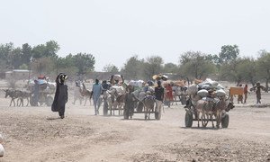 People are regularly displaced in north-east Cameroon due to conflict.