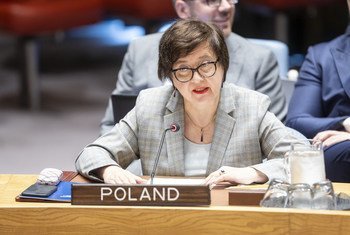 سفيرة بولندا لدى الأمم المتحدة، يوانا فروشينكا، خلال تقديمها إحاطة لمجلس الأمن بشأن تقرير الأمين العام حول السودان وجنوب السودان، والذي ركزت فيه عن الوضع في دارفور.
