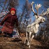 A young girl jumps for joy next to her family’s reindeer in a remote area of Tsagaannur in the northern Mongolia.
