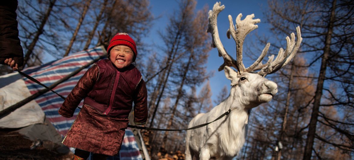 蒙古国北部遥远的查干诺尔，一个女孩与自家的驯鹿在一起。