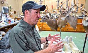 David Meagher has been a taxidermist for 30 years and has worked on wildlife from across the world.