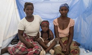 Em Moçambique, mosqueteiro tratado com inseticida ajuda na prevenção da malária