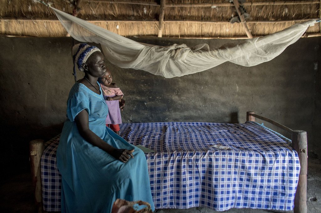 De plus en plus de femmes en Afrique subsaharienne utilisent des moustiquaires pour se protéger contre le paludisme.