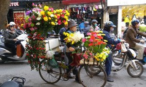 A woman selling flowers in Vietnam's tourist-laden Hanoi wears a mask to mitigate breathing in polluted air.