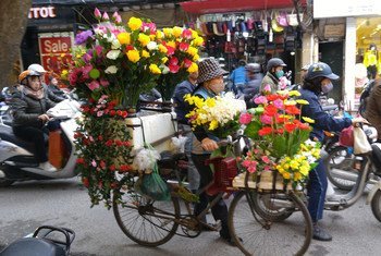 वियतनाम के पर्यटन प्रसिद्ध स्थान हनोई में फूल बेचती हुई एक महिला, मगर वायु प्रदूषण से बचने के लिए उसे मास्क पहनना पड़ रहा है.