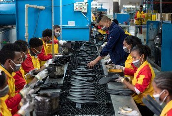 Des travailleurs d'une usine de fabrication de chaussures chinoise à Addis-Abeba, en Éthiopie.