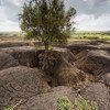 Erosão do solo arrasta entre 20 e 37 bilhões de toneladas da camada superior do recurso anualmente